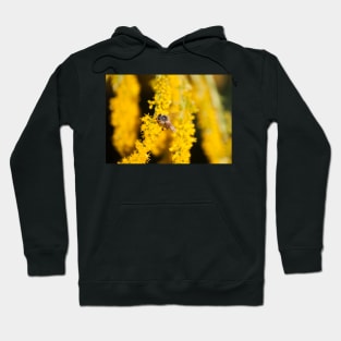 Marigold and Honey II Hoodie